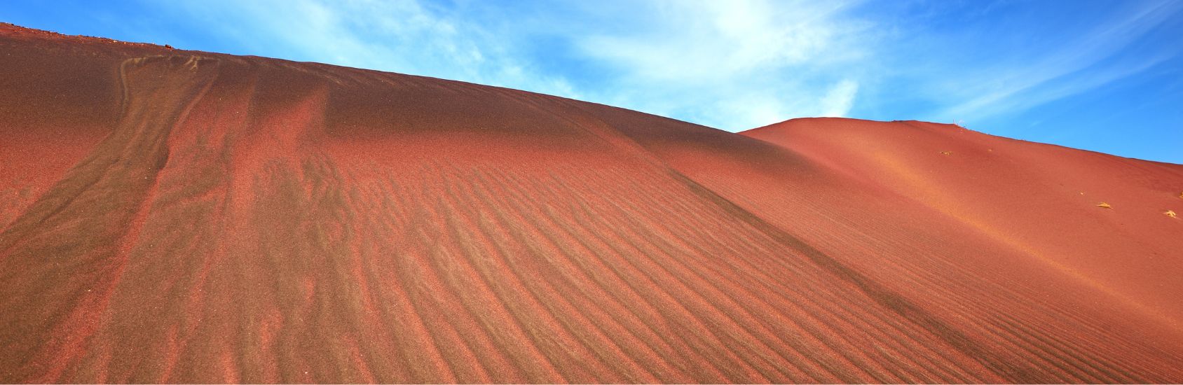 Untitled design - 2025-06-04T150505.051